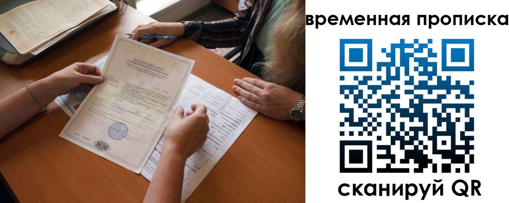 прописка в Бабаево
